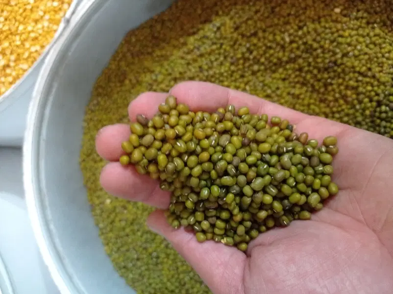 مواد غذایی|خوردنی و آشامیدنی|قم, وادی السلام|دیوار