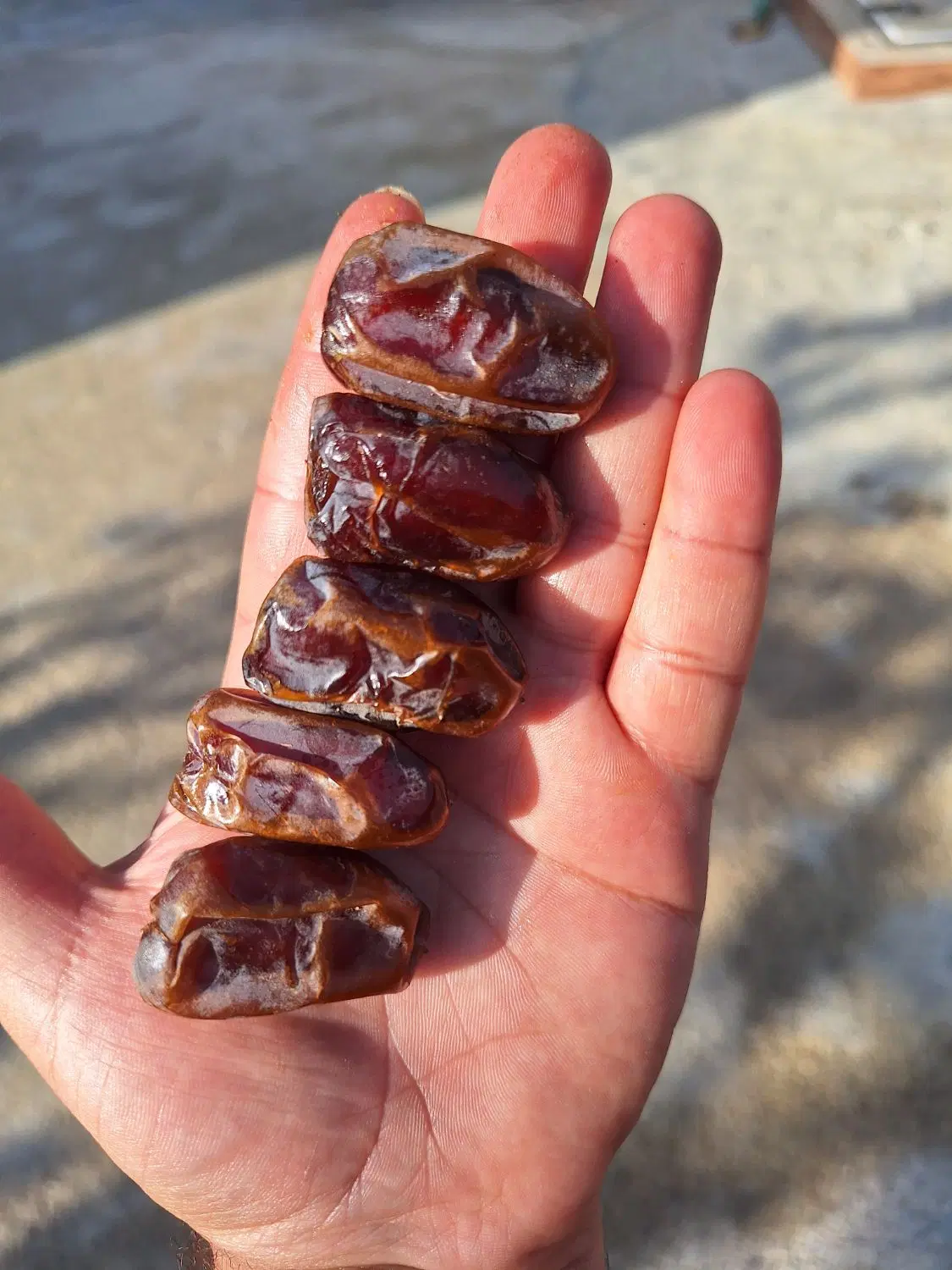 خرما|خوردنی و آشامیدنی|وحدتیه, |دیوار