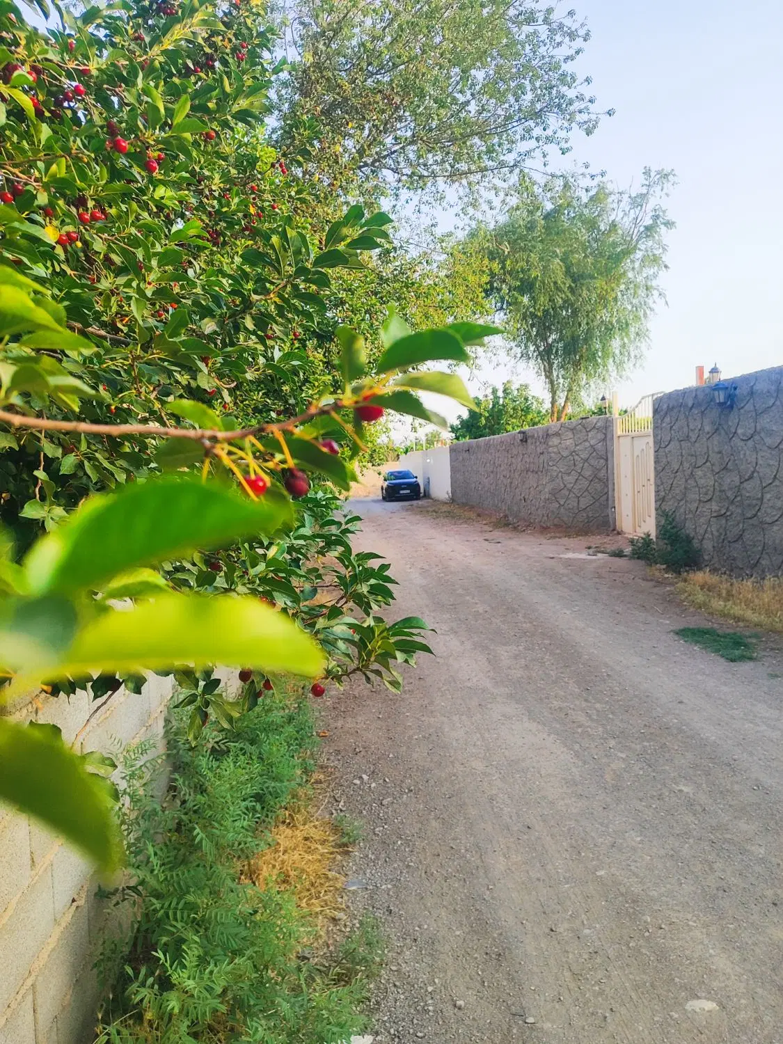 باغ از۲۰۰مترب بالاسنددار ساحلی بامجوز, اصفهان
