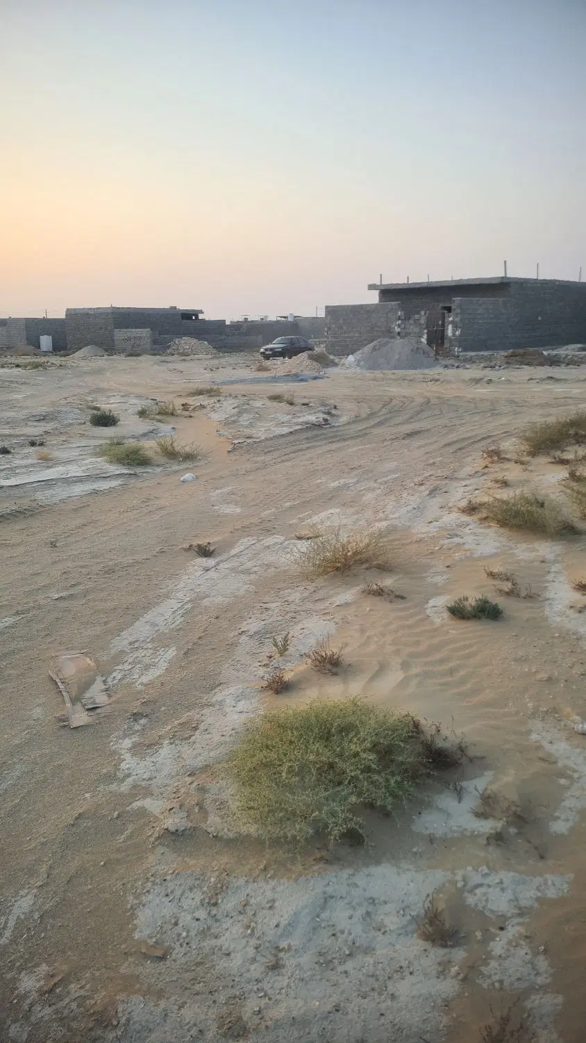 تصویر 2