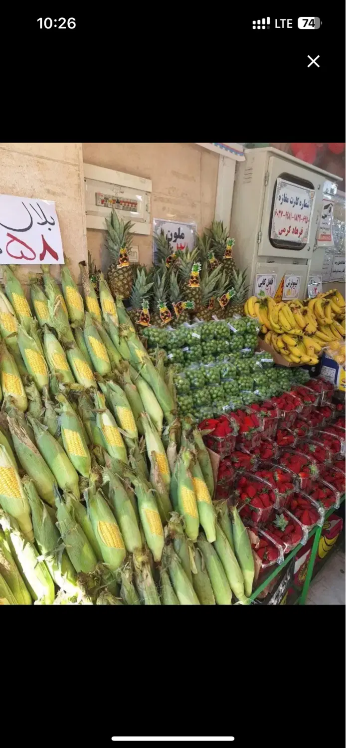 کارگر|استخدام خدمات فروشگاه و رستوران|مشهد, کوه سنگی|دیوار