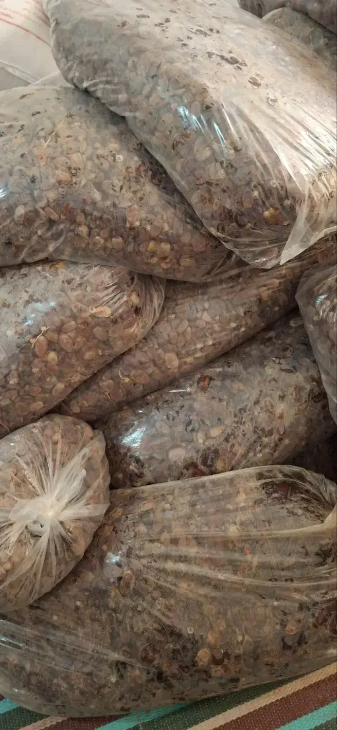 خرما|خوردنی و آشامیدنی|پارسآباد, |دیوار