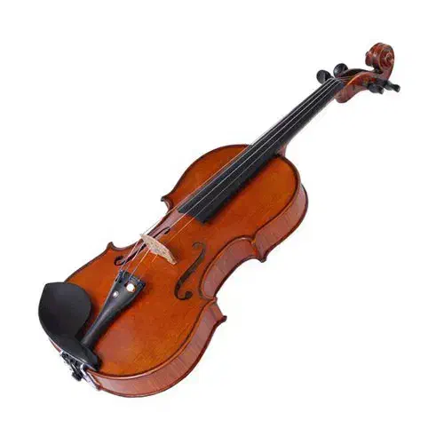 ویولن|ویولن|تهران, شهرک نفت|دیوار