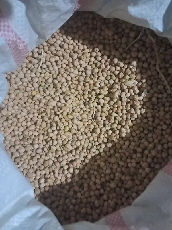 نخود|خوردنی و آشامیدنی|بزینه رود, |دیوار