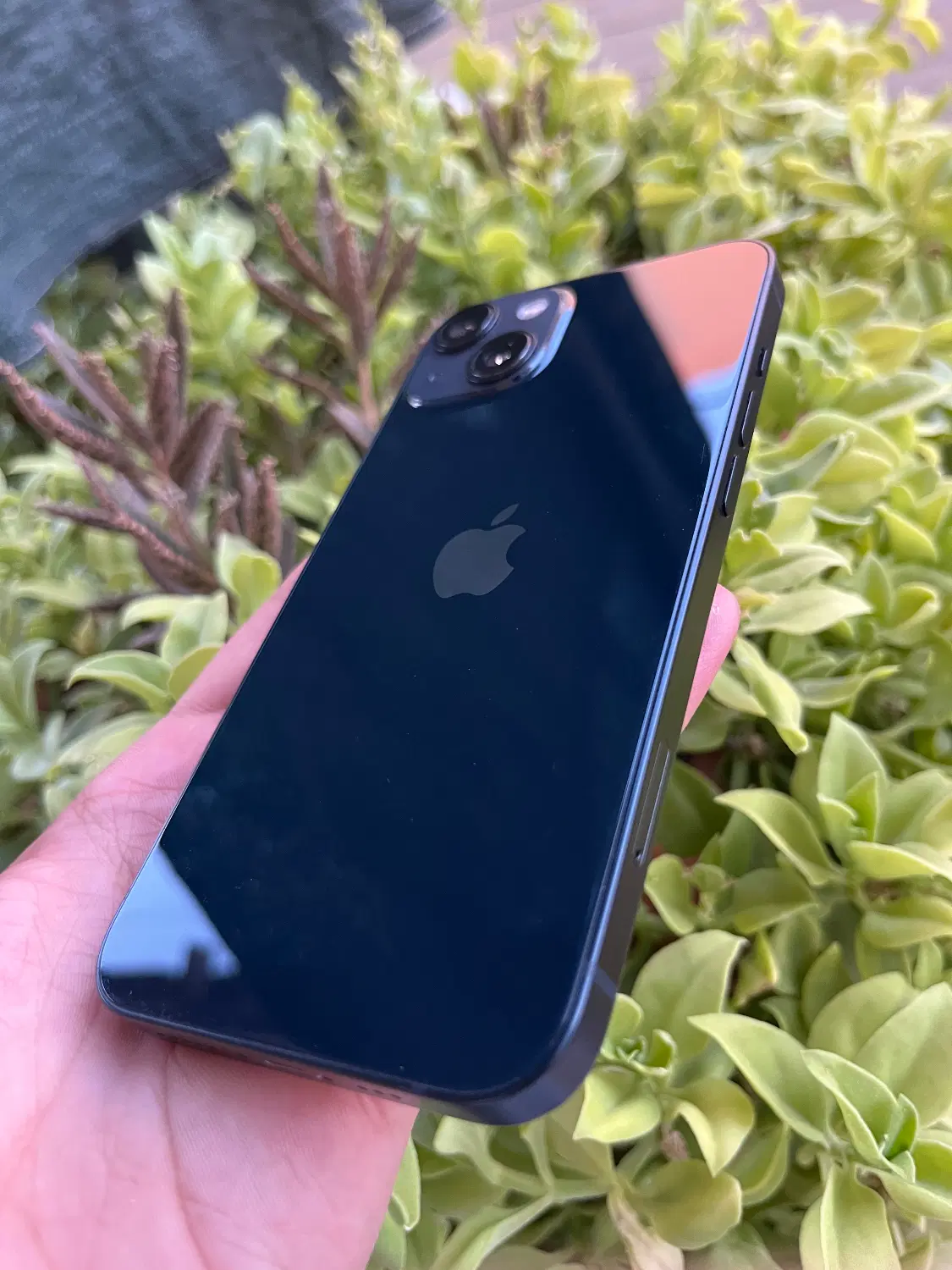 iPhone 13 normal|موبایل|یزد, |دیوار