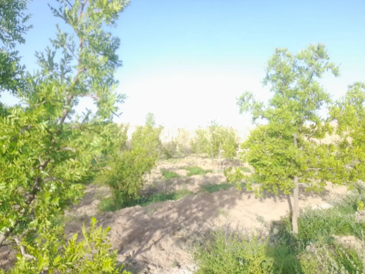 تصویر 7