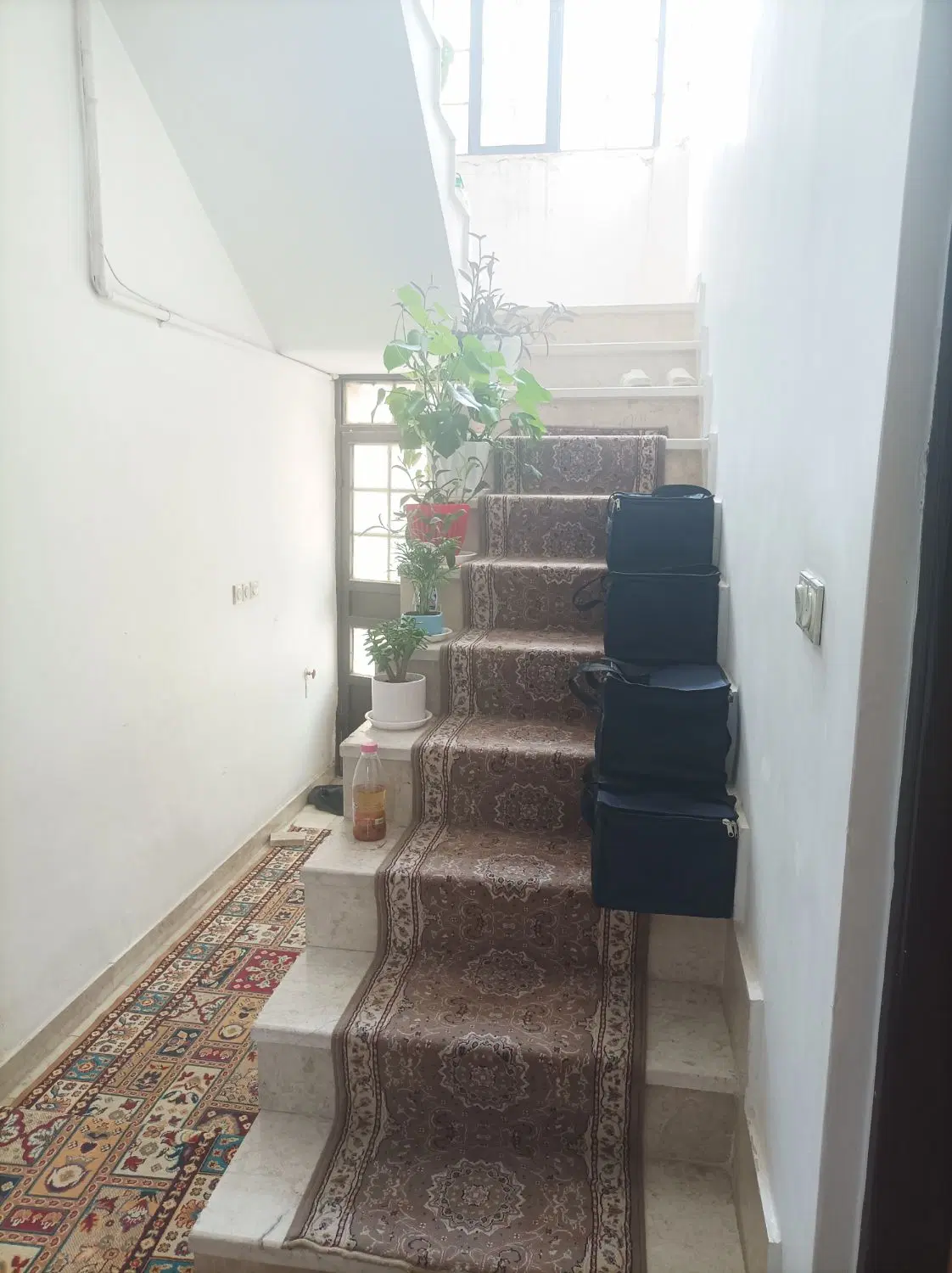 تصویر 3