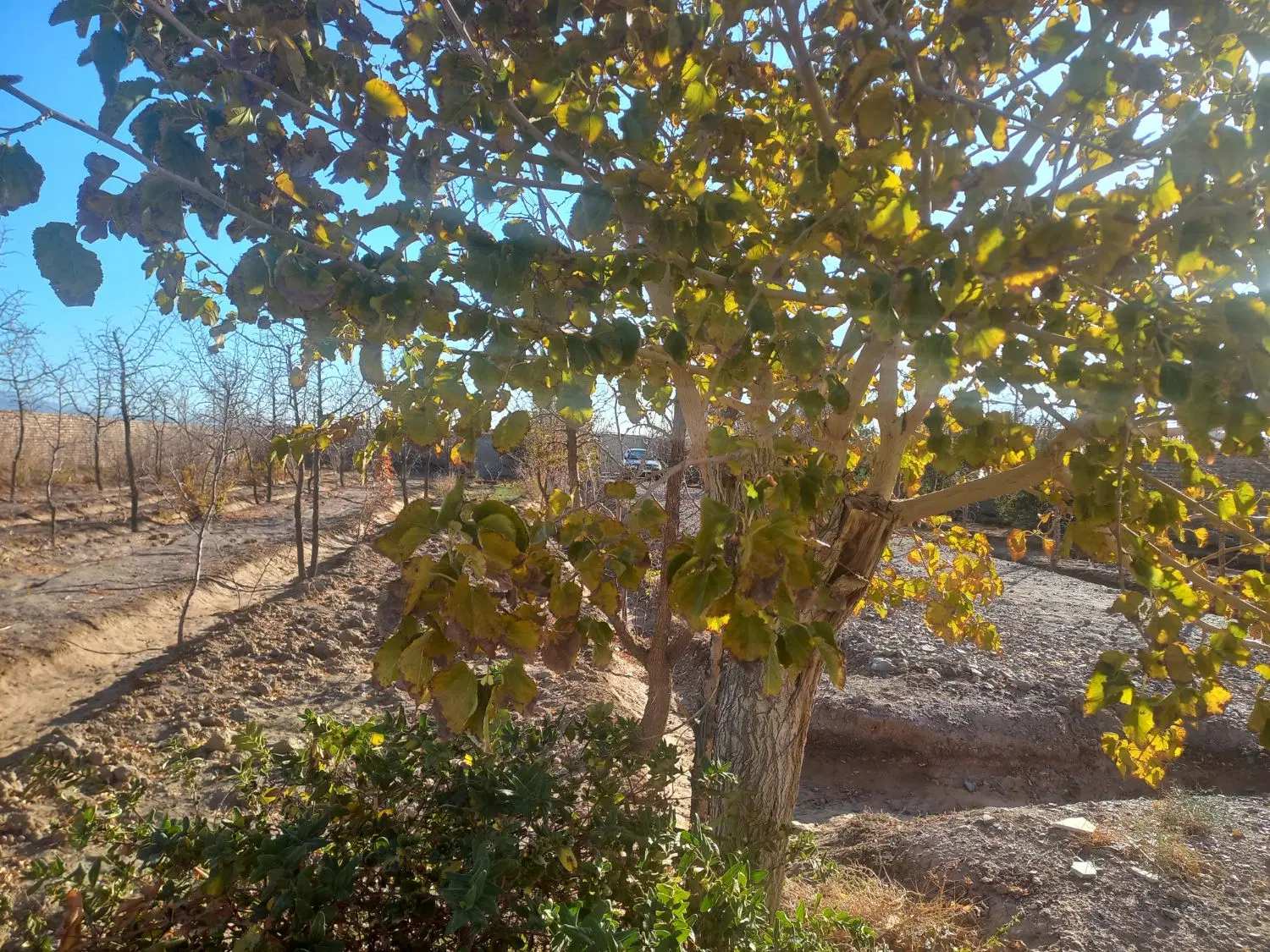 تصویر 5
