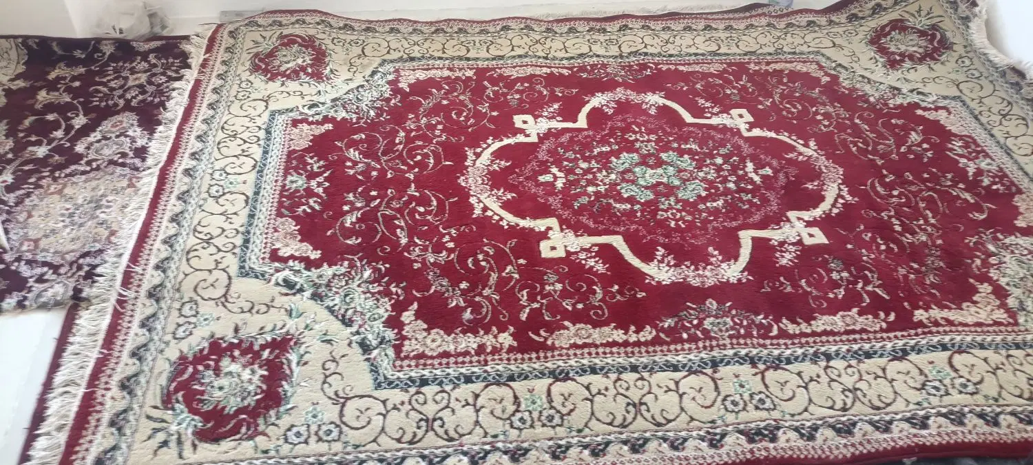 قالی|فرش|سیرجان, |دیوار