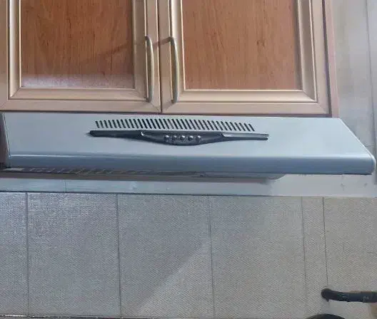 هود|هود|مشهد, کوی ولیعصر|دیوار