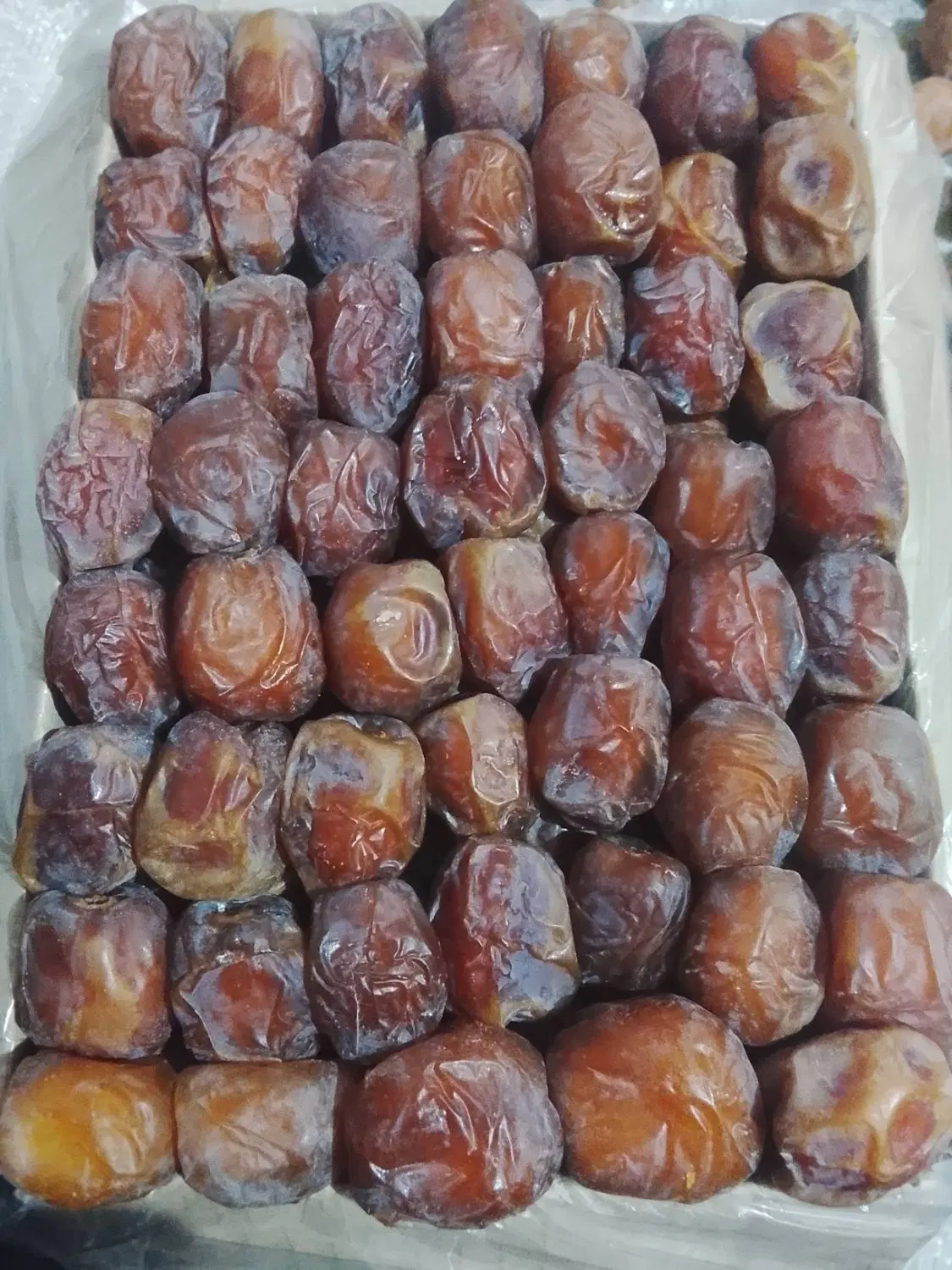 خرما|عمده‌فروشی|عنبرآباد, |دیوار