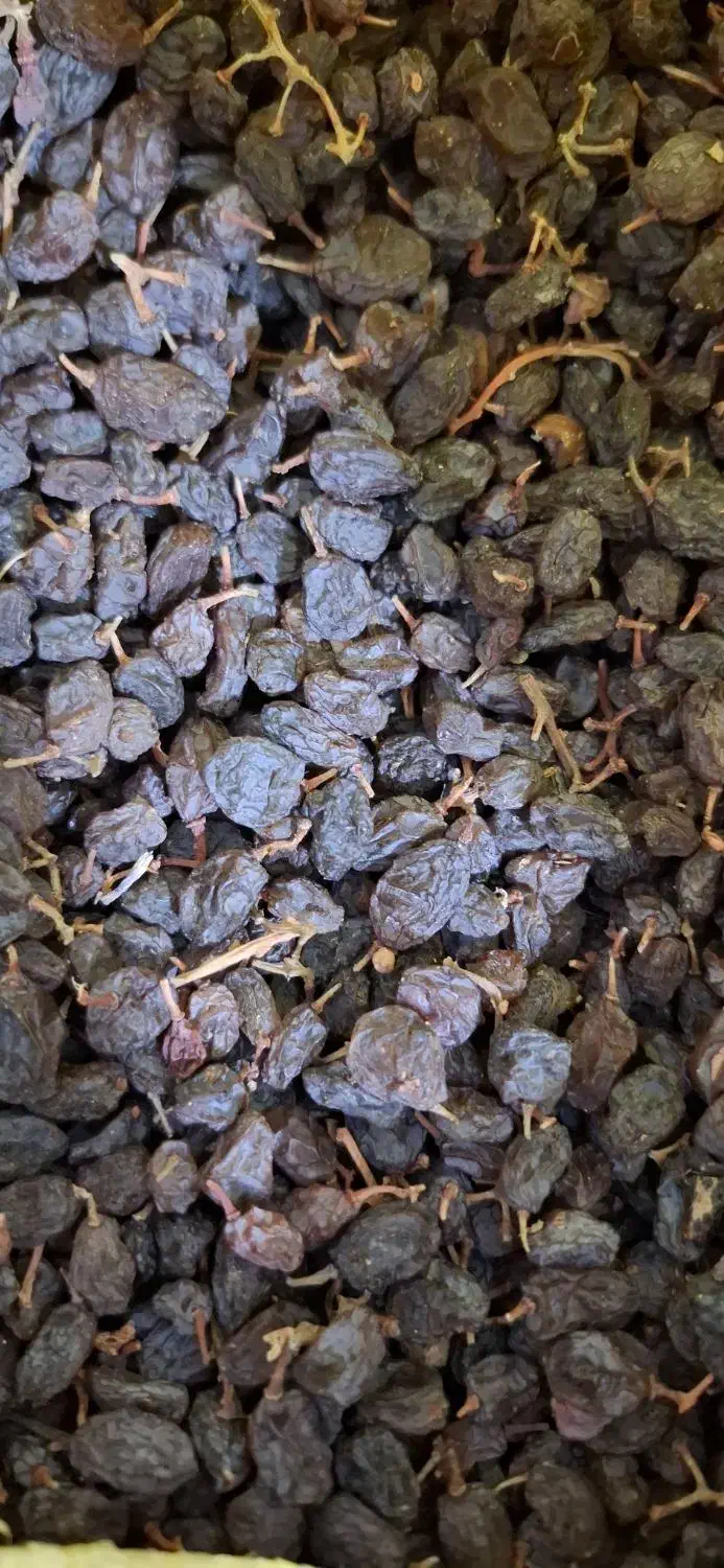 کشمش مرغوب|خوردنی و آشامیدنی|تاکستان, |دیوار