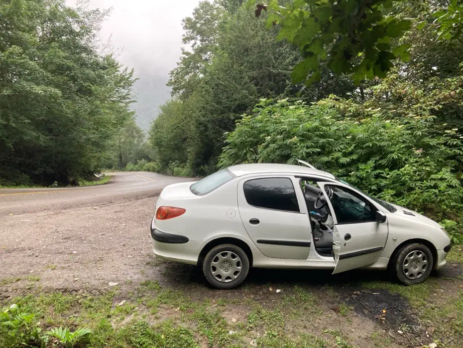 206 SD  V8   1392|خودرو سواری و وانت|بیرجند, |دیوار