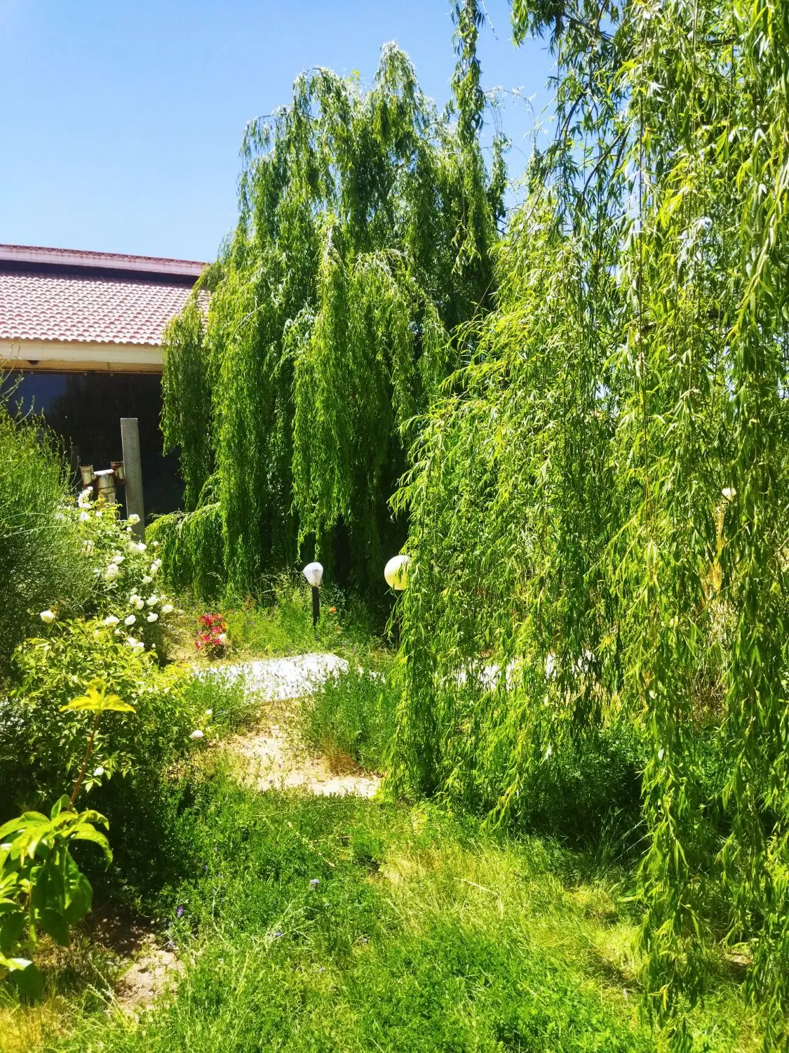 تصویر 5