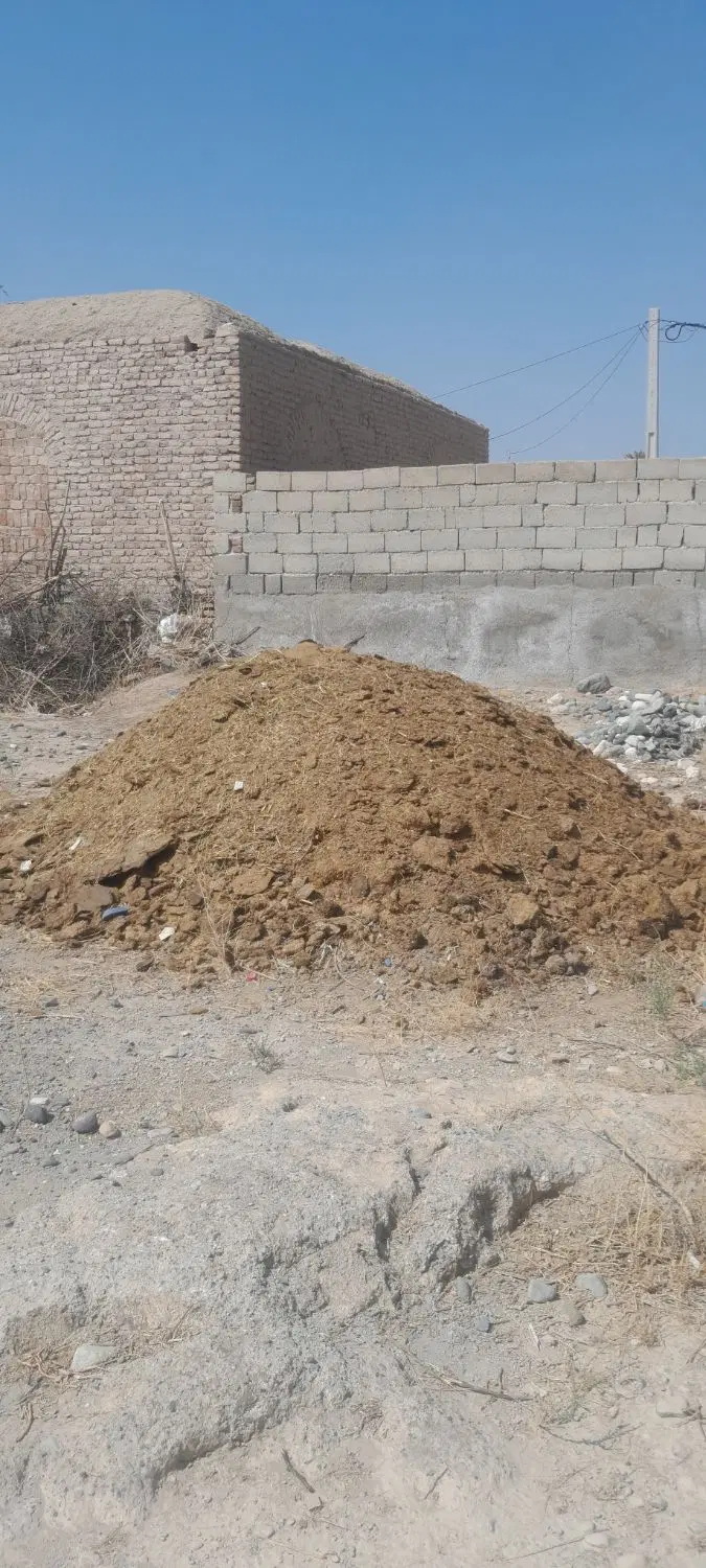 کودگاو|گل و گیاه طبیعی|جیرفت, |دیوار