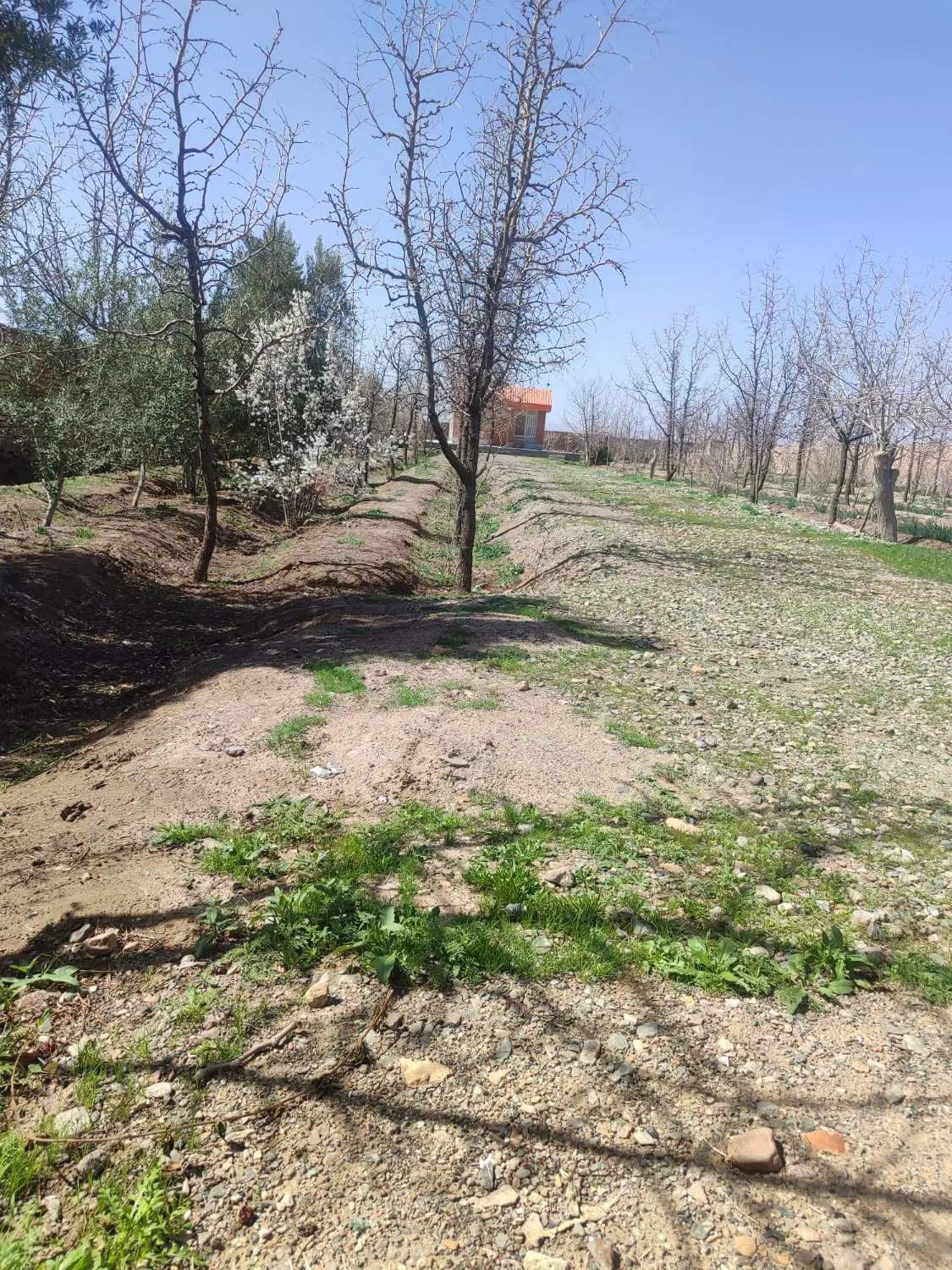 تصویر 2