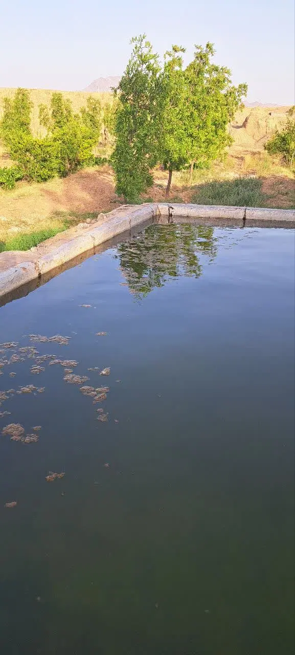 تصویر 12