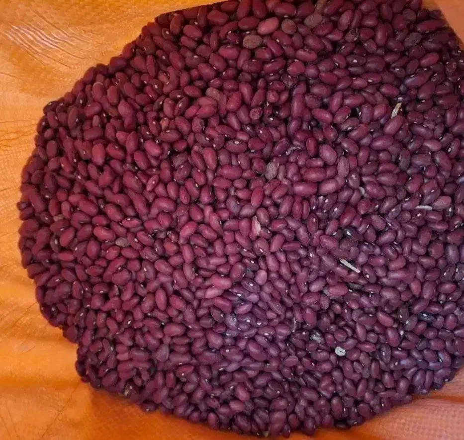 لوبیا|خوردنی و آشامیدنی|باغ حلی, |دیوار