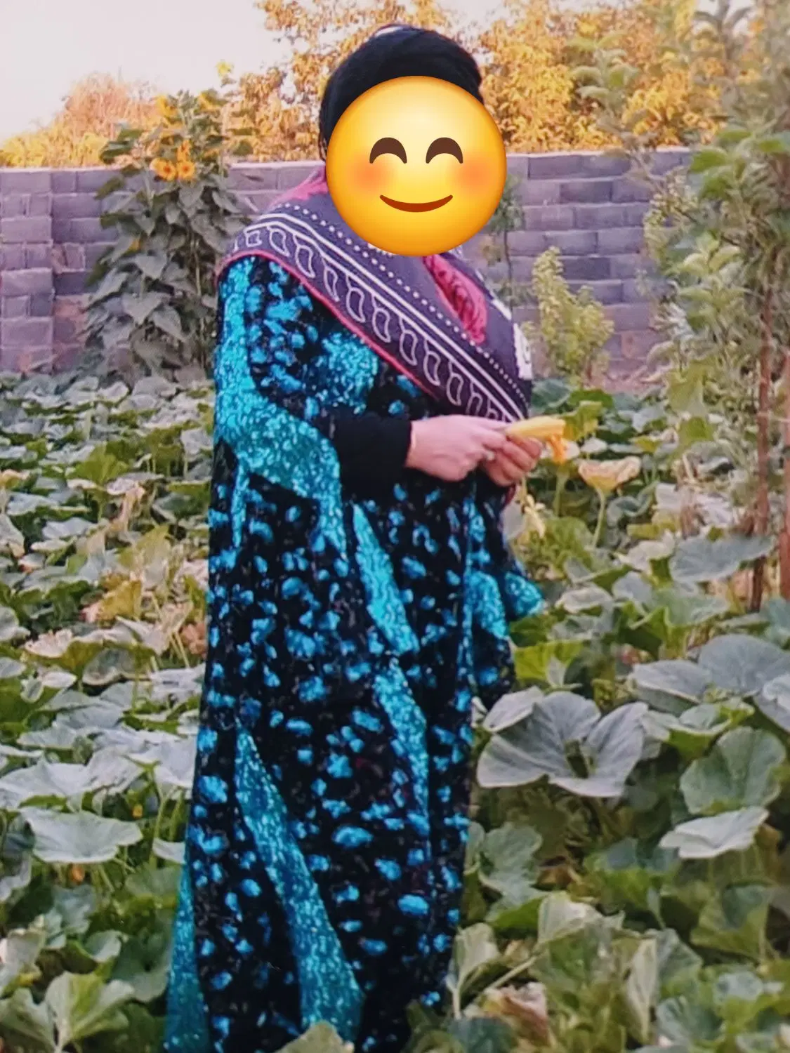 لباس|لباس|اراک, |دیوار