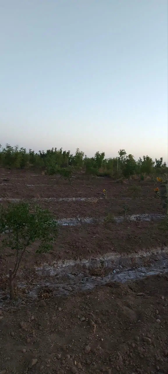 تصویر 9