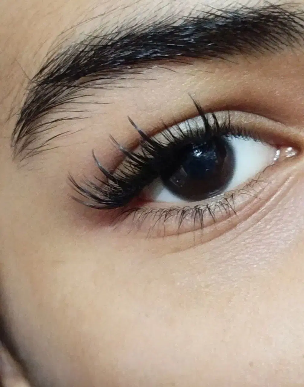 رنگ مو|خدمات آرایشگری و زیبایی|زاهدان, |دیوار