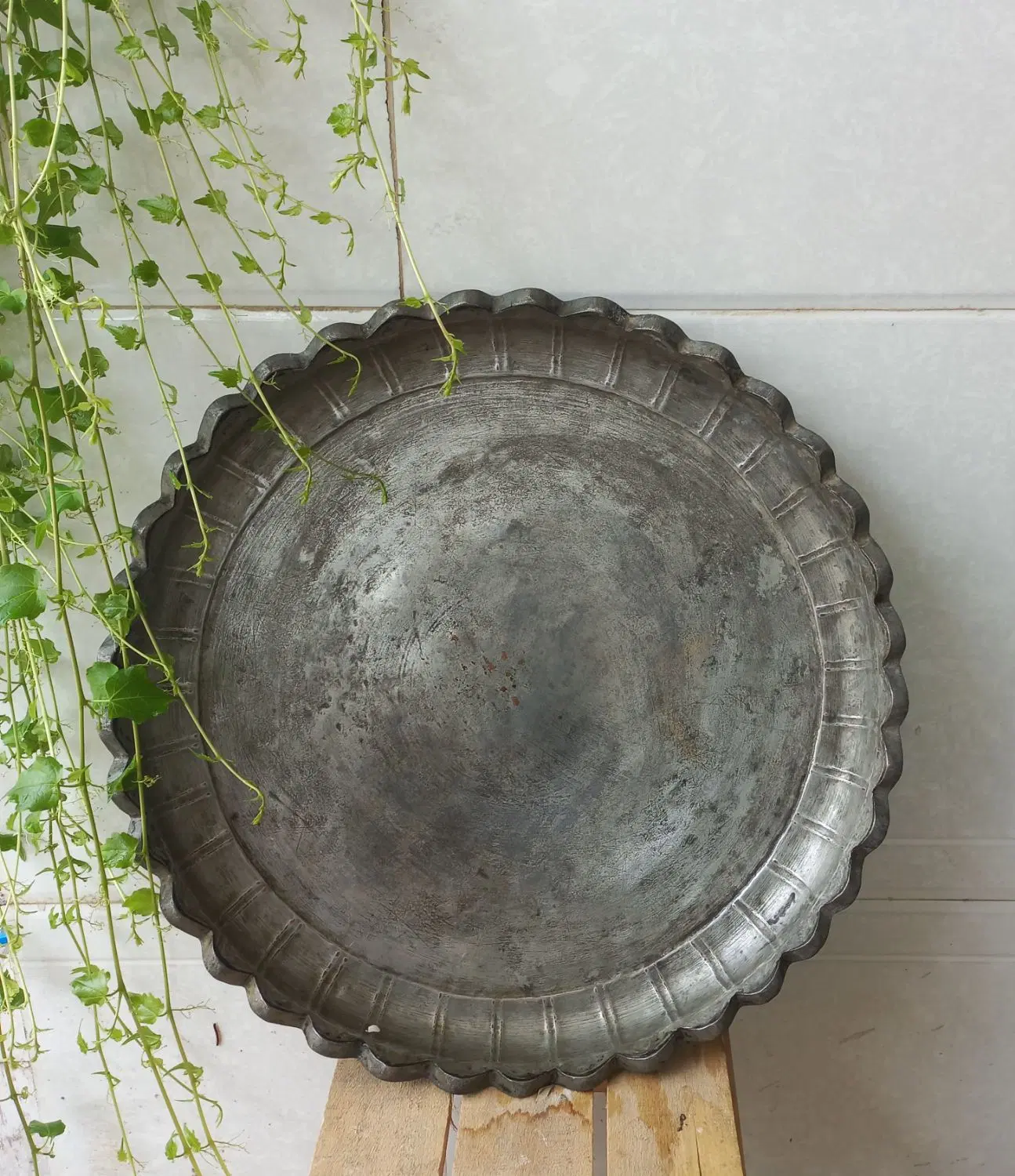 سینی مسی|ظروف سرو و پذیرایی|رشت, یخسازی|دیوار