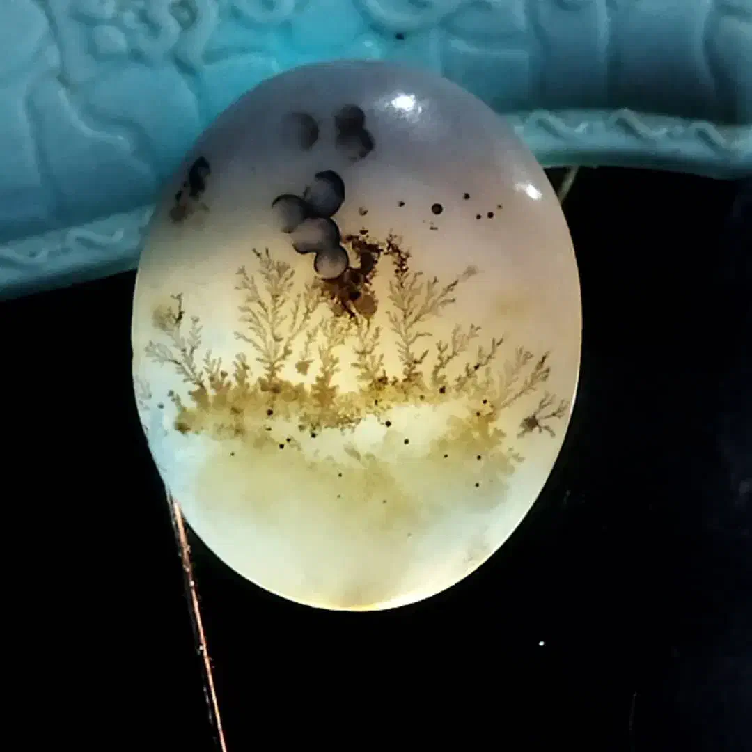 سنگ شجر|کلکسیون اشیاء عتیقه|شیراز, منطقه هوایی شهید دوران|دیوار