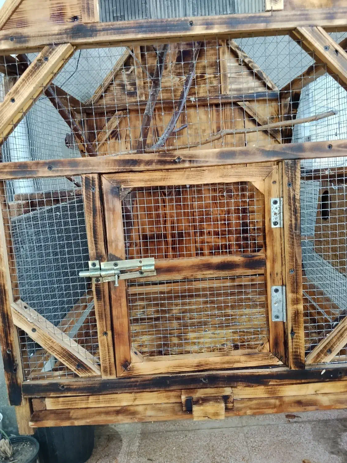 قفس پرنده|لوازم جانبی حیوانات|قشم, |دیوار