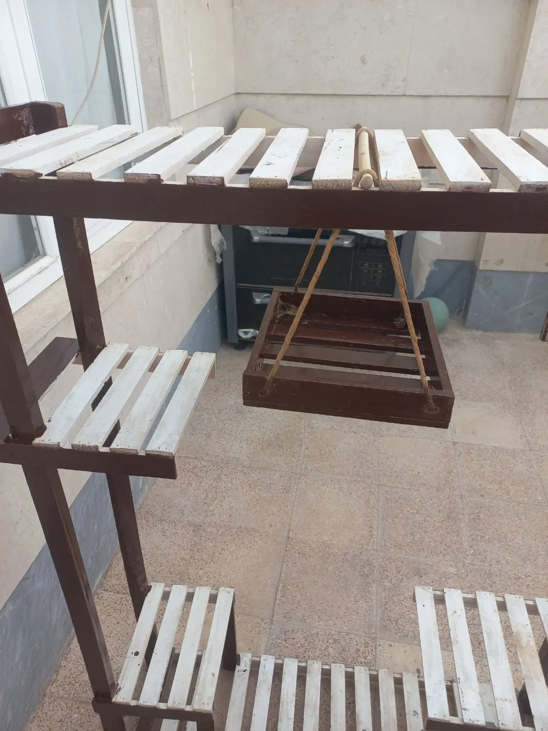 استندگل|گل و گیاه طبیعی|شیروان (خراسان), |دیوار