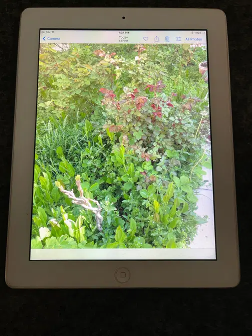 Ipad|تبلت|زنجان, |دیوار
