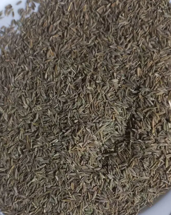 زیره سبز|خوردنی و آشامیدنی|مشهد, سرافرازان|دیوار