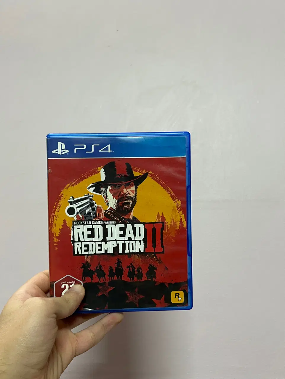 Red dead 2 / رد دد 2|کنسول، بازی ویدئویی و آنلاین|کرمان, |دیوار