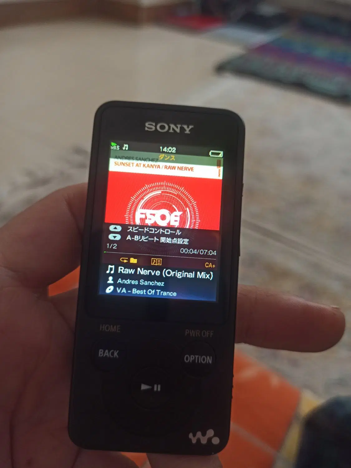 SONY WALKMAN|پخش‌کننده همراه|تهران, شهرک ولیعصر شمالی|دیوار