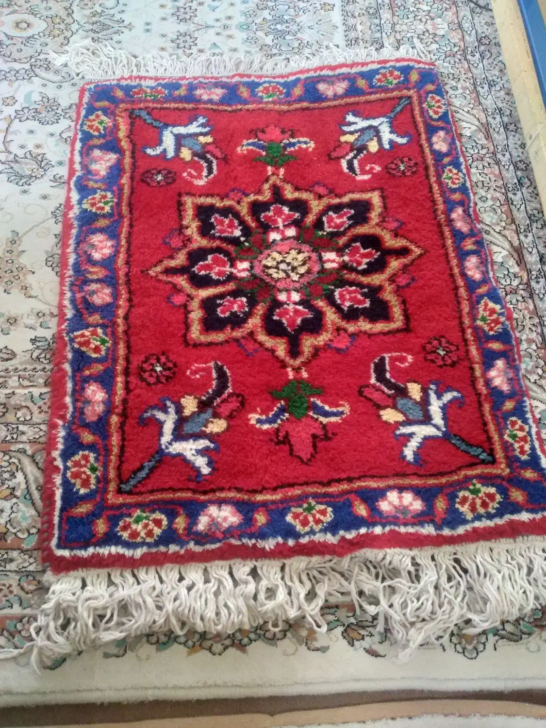 پادری|پادری|تبریز, |دیوار