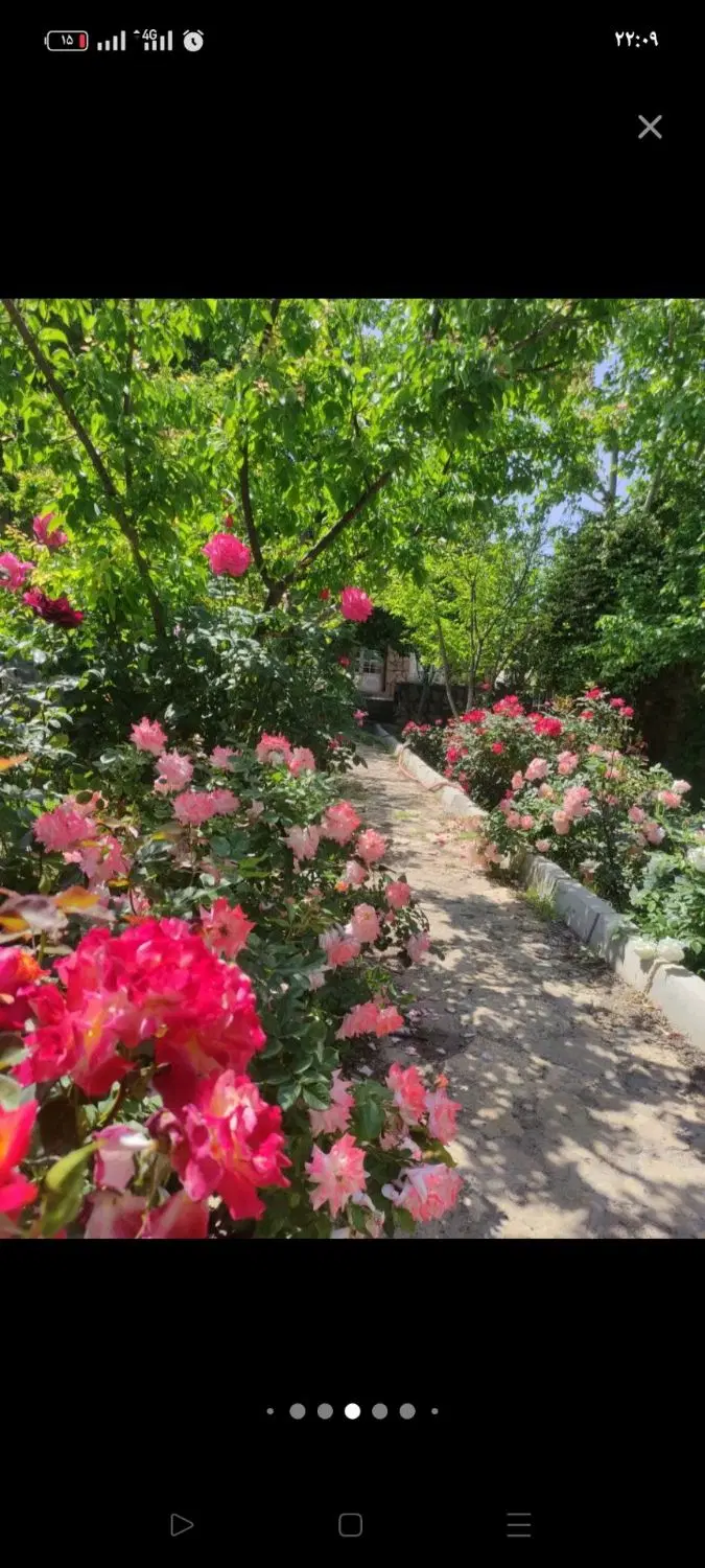 تصویر 7