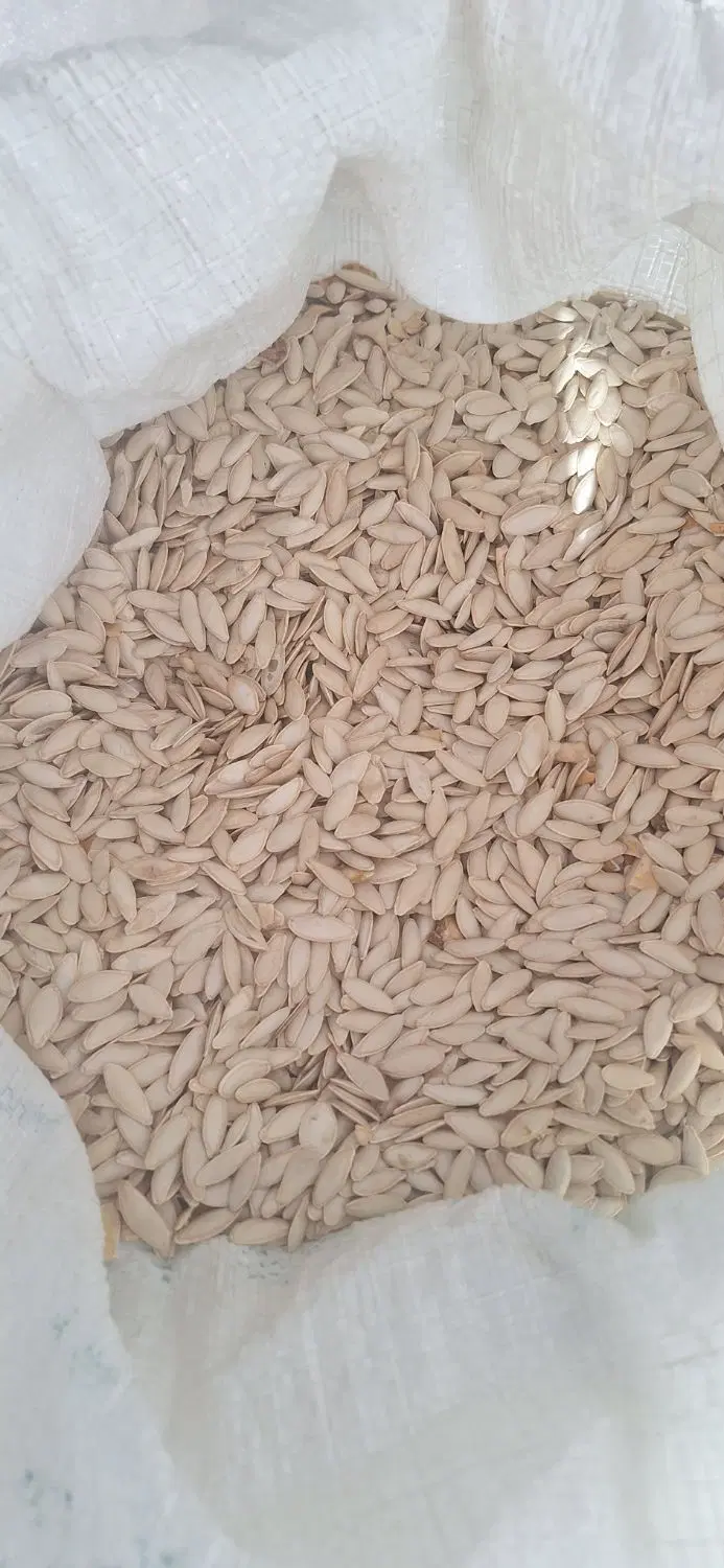 تخم کدو|خوردنی و آشامیدنی|بهار, |دیوار