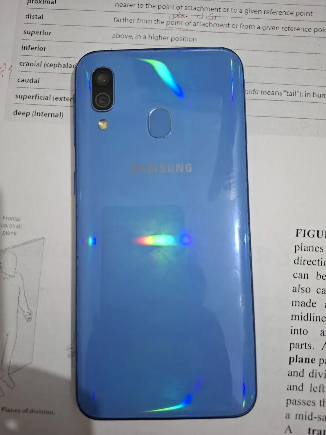 galexy A40|موبایل|مشهد, محمدآباد|دیوار