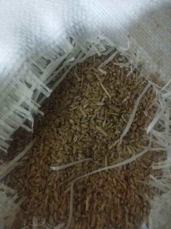 کلویی 60|عمده‌فروشی|بروجن, |دیوار