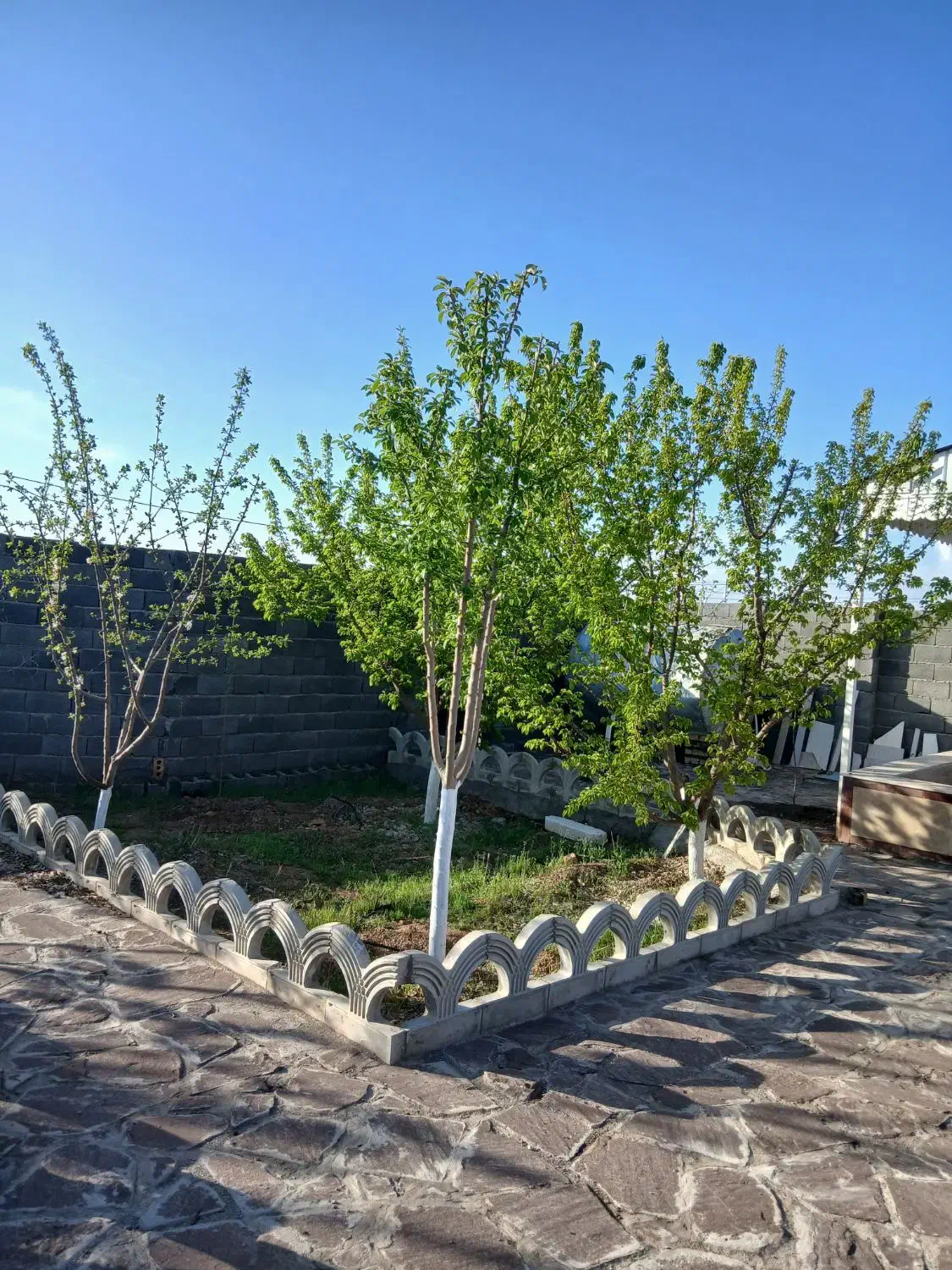 تصویر 7