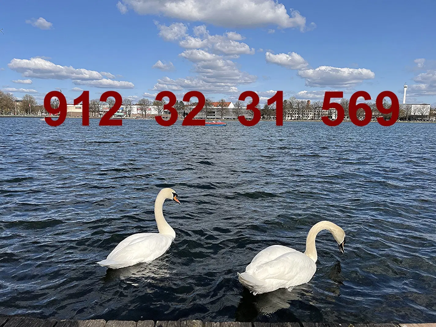 خط  569 31 32 0912|سیم‌کارت|تهران, نیروی هوایی (پیروزی)|دیوار