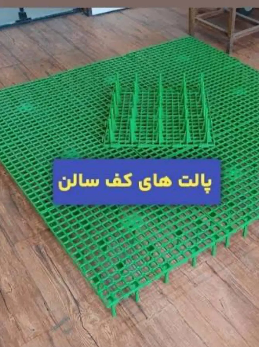 اسلت|لوازم جانبی حیوانات|چالوس, |دیوار