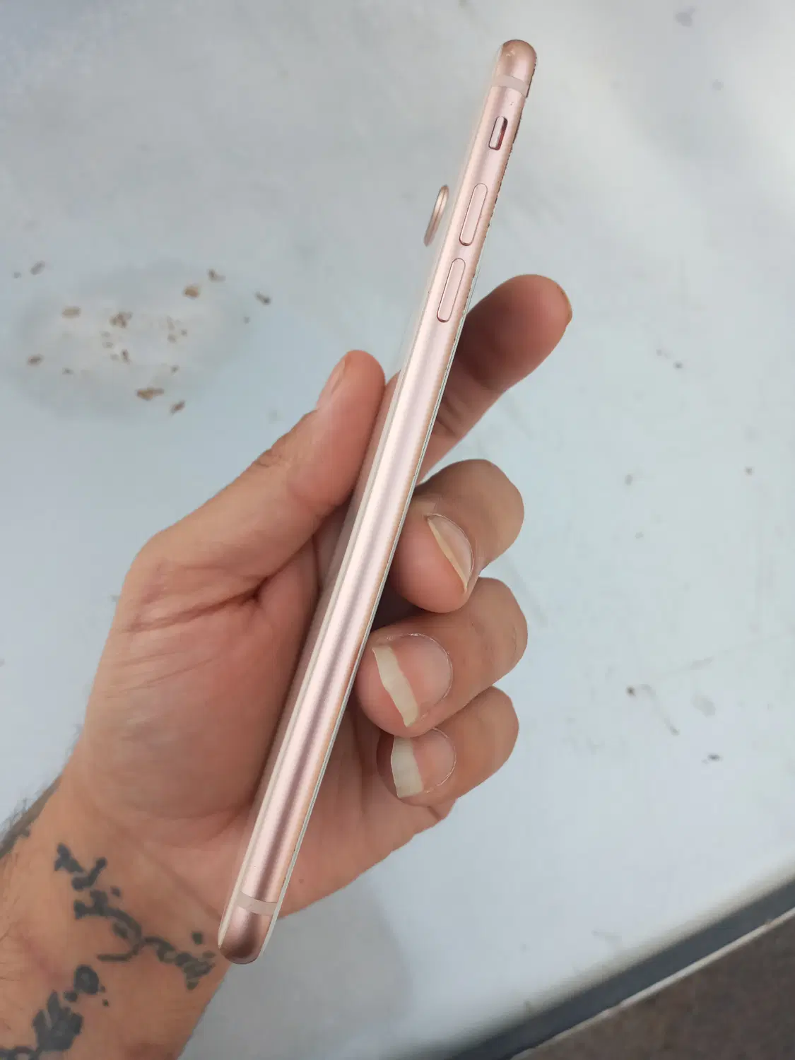 ایفون 8plus|موبایل|تربت جام, میان جام|دیوار