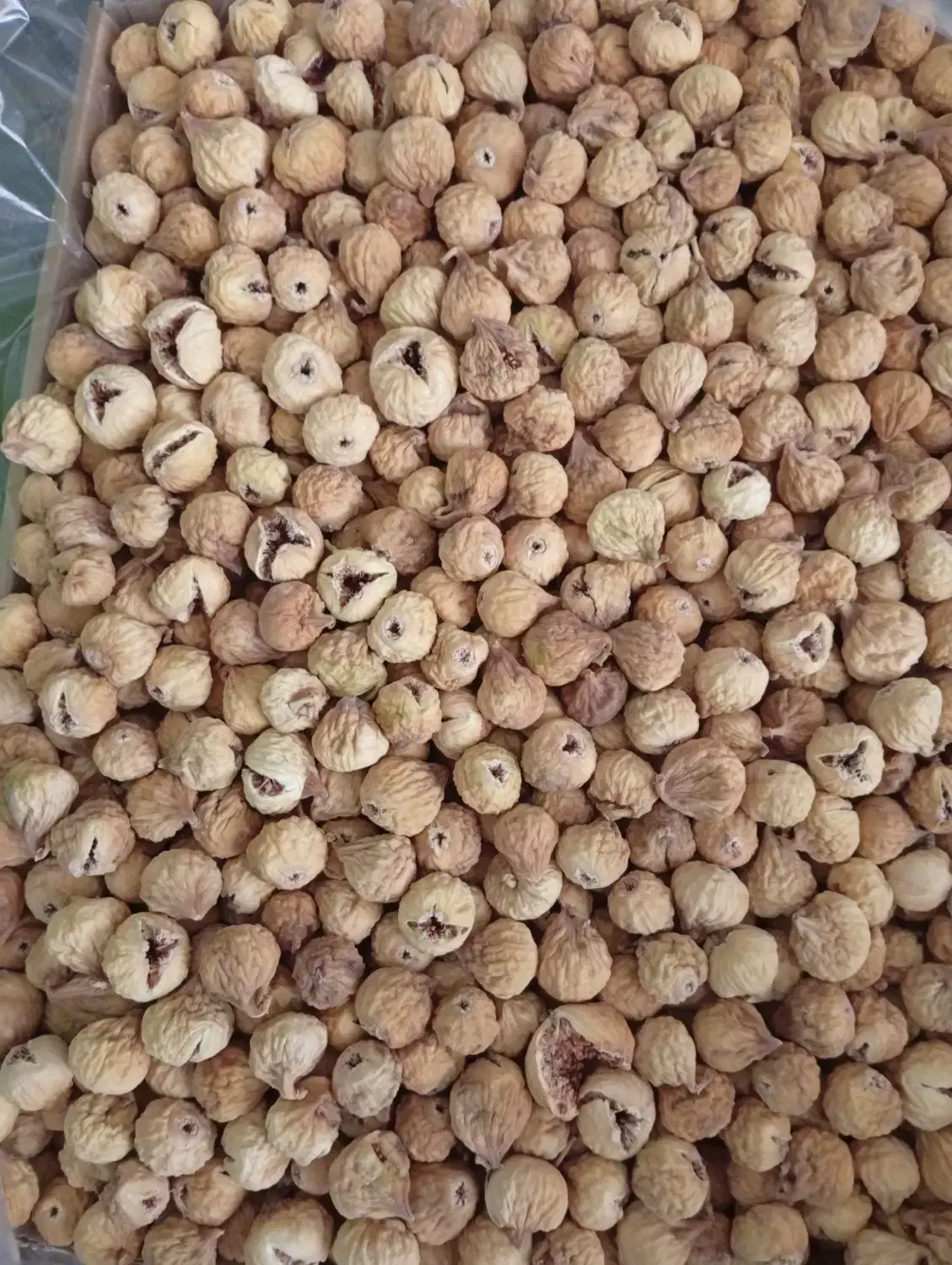انجیر|خوردنی و آشامیدنی|شیراز, شهرک گلدشت حافظ‎|دیوار