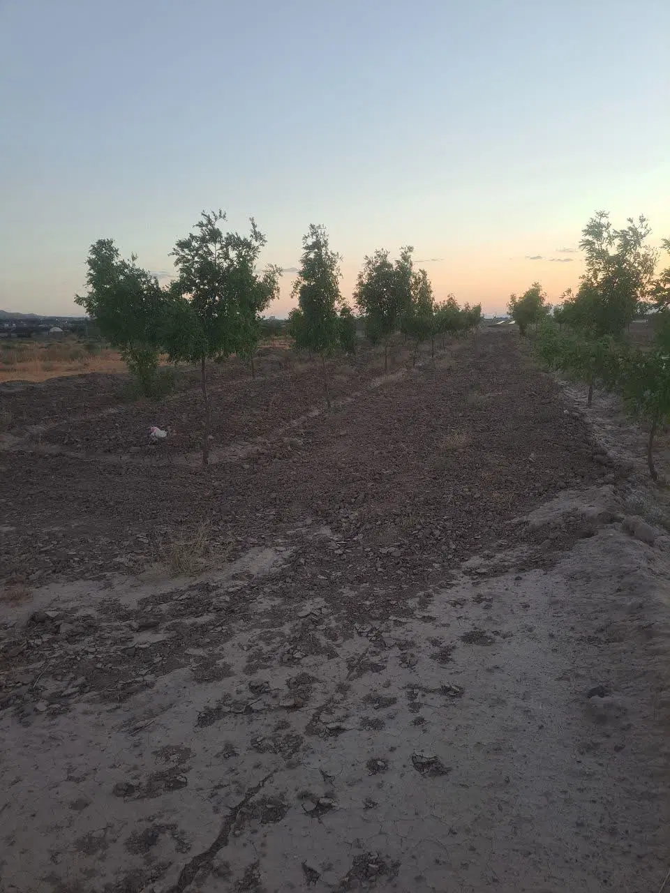 تصویر 7