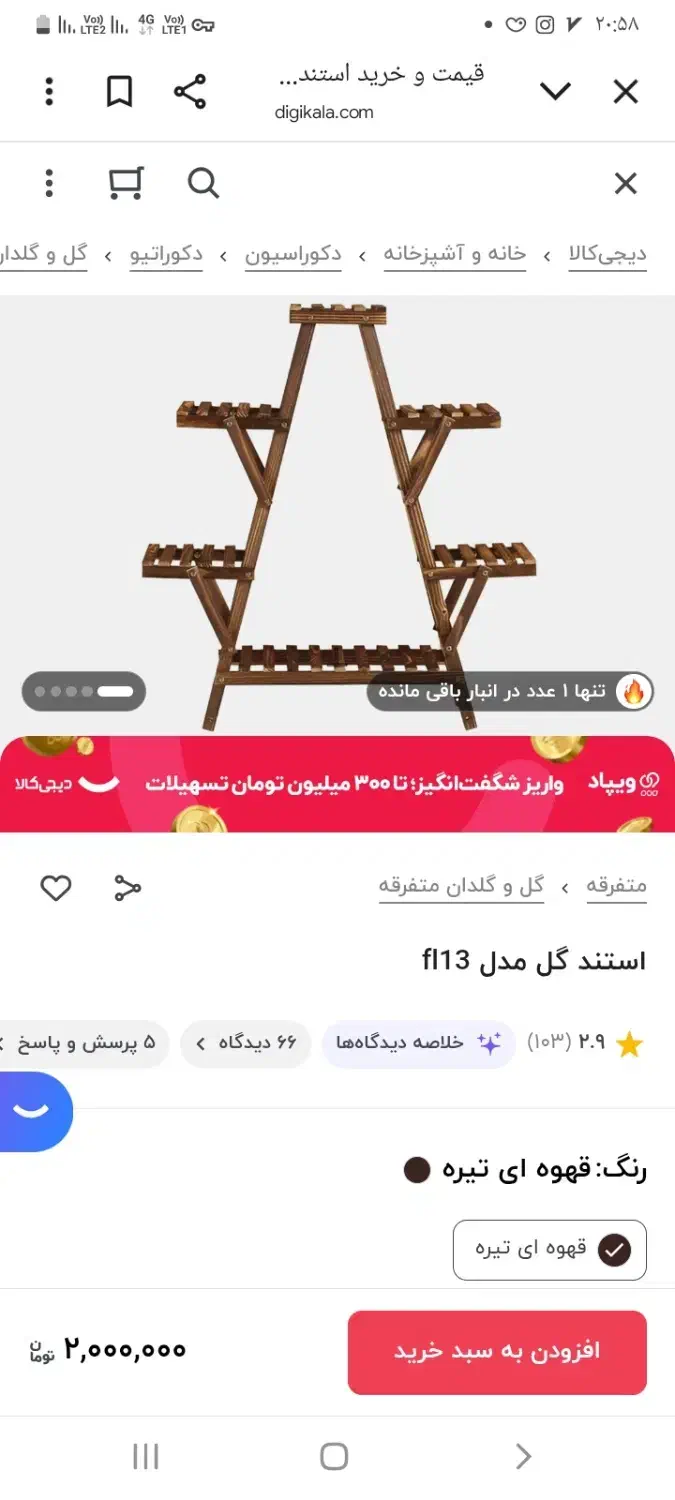 استند گل|گل و گیاه طبیعی|مشکیندشت, |دیوار