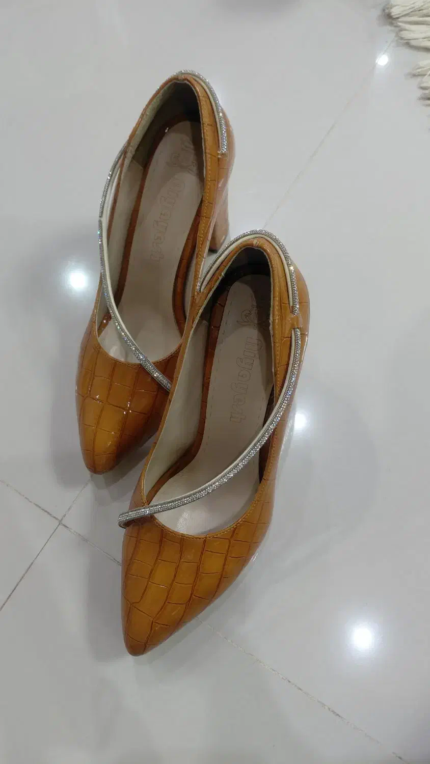 کفش مجلسی|کیف، کفش، کمربند|بیرجند, |دیوار