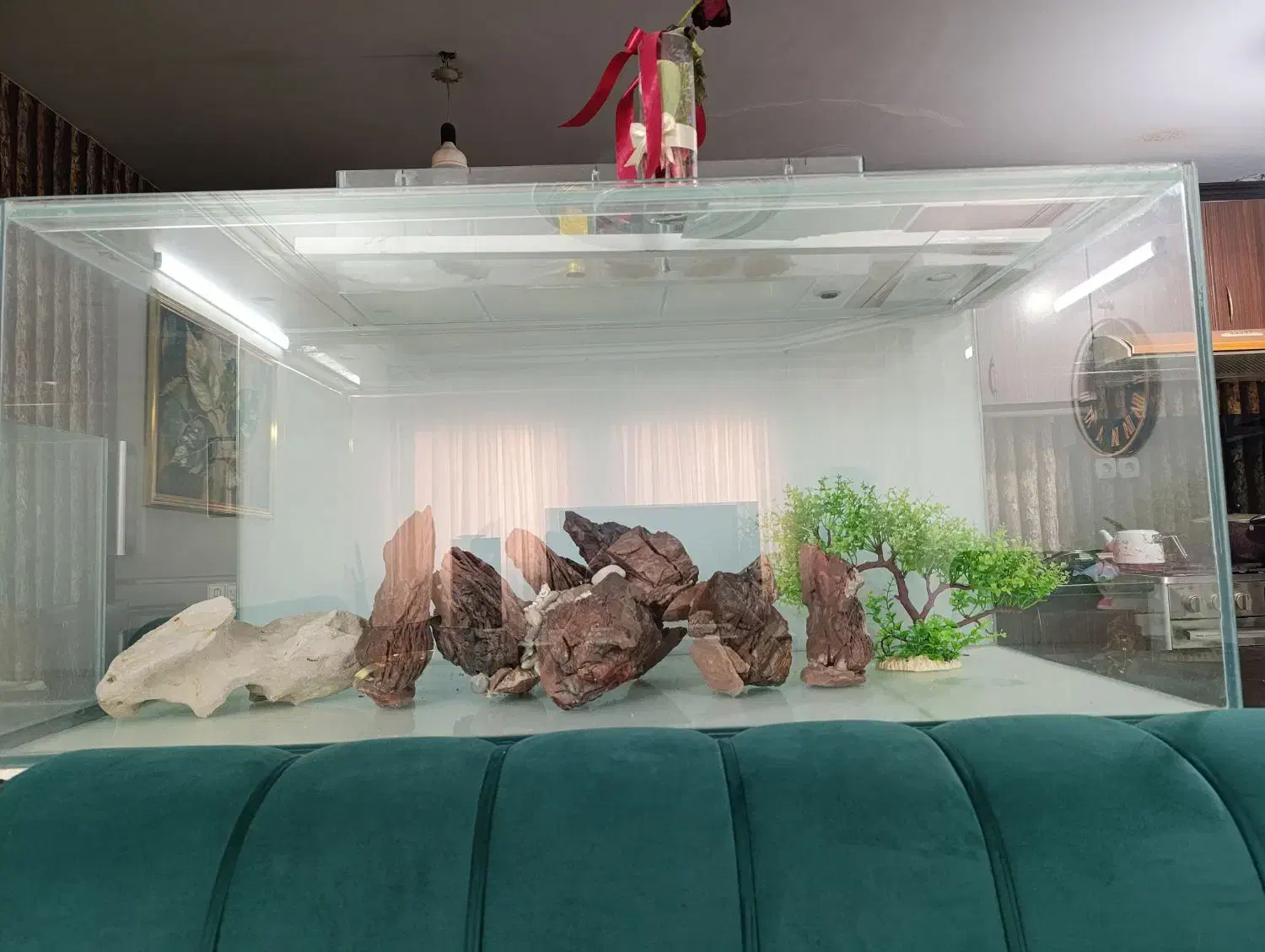 آکواریوم|ماهی|مشهد, امیریه|دیوار