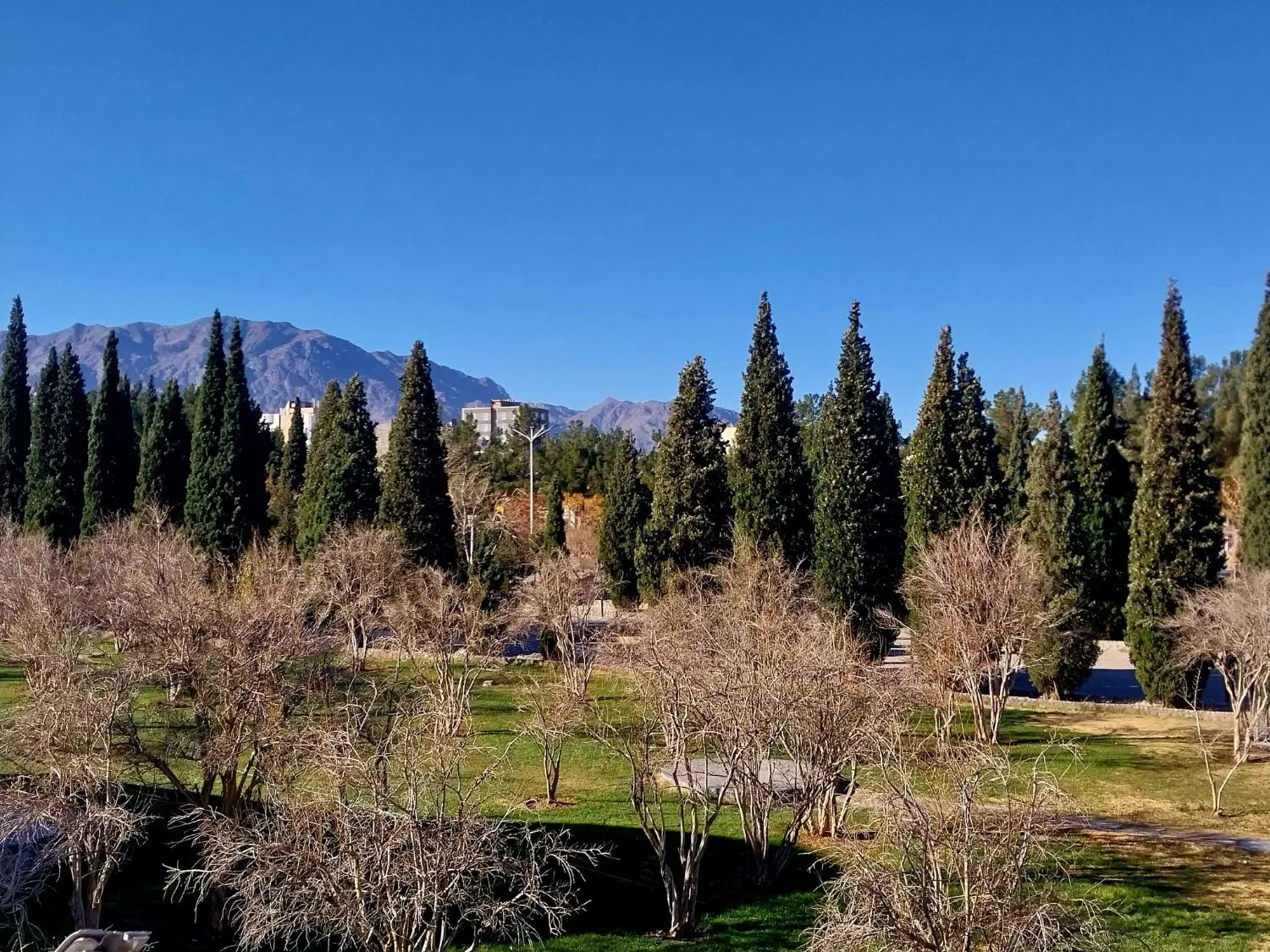 تصویر 2