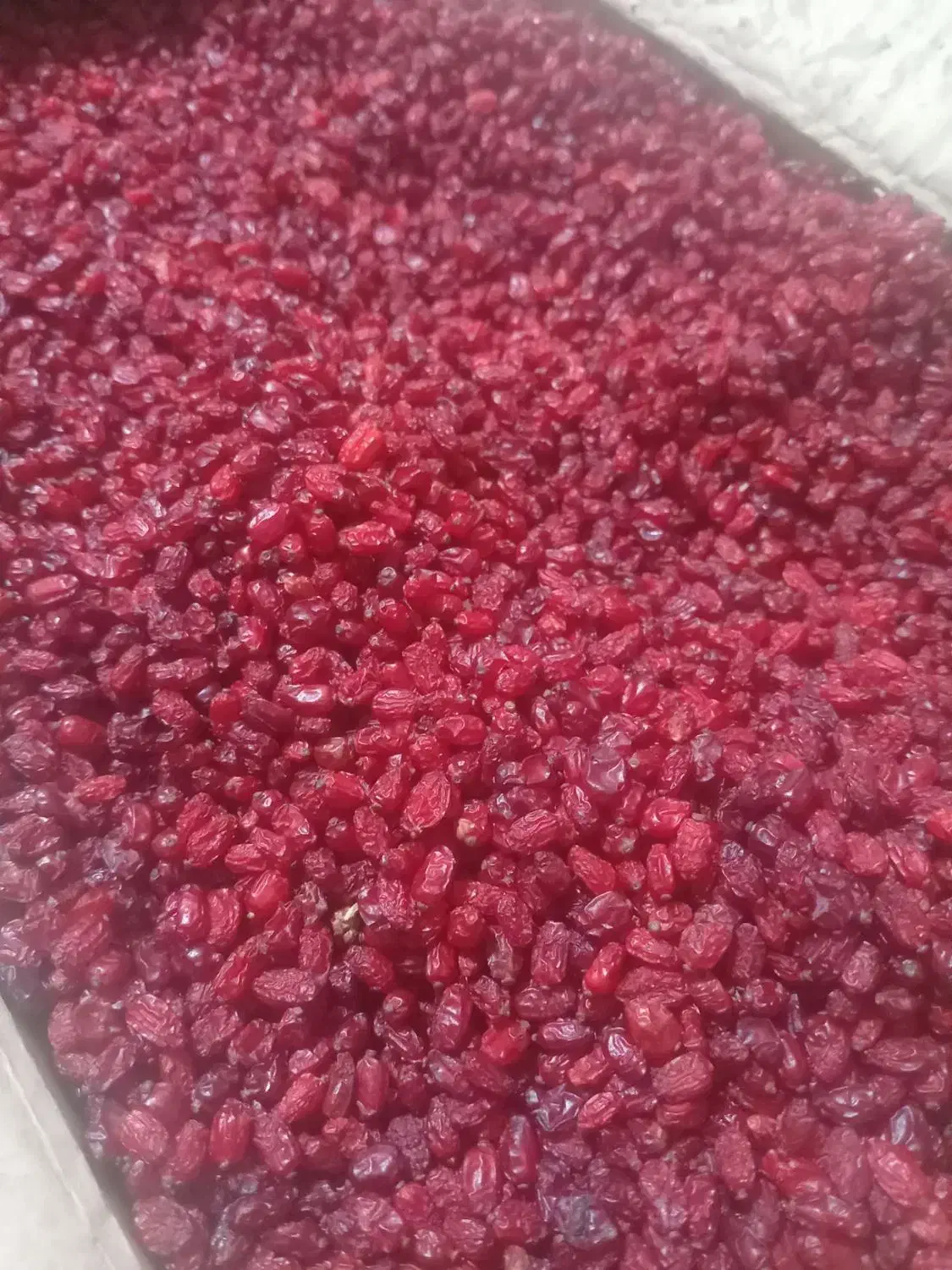 زرشک|خوردنی و آشامیدنی|مشهد, همت آباد|دیوار