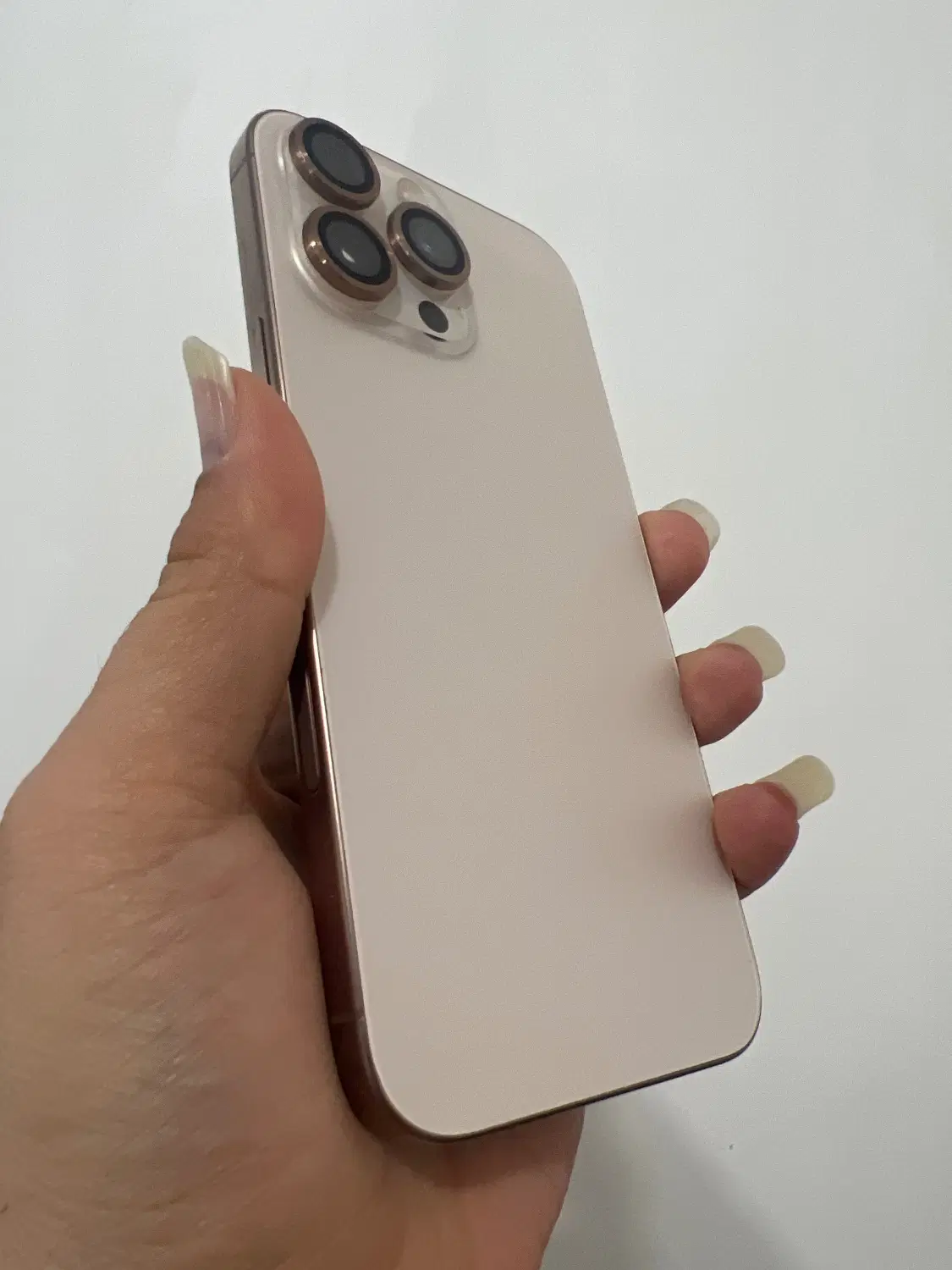 16 Promax 255|موبایل|بندر ماهشهر, |دیوار